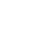 Fast Icon